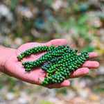 Food of Gods Black Pepper