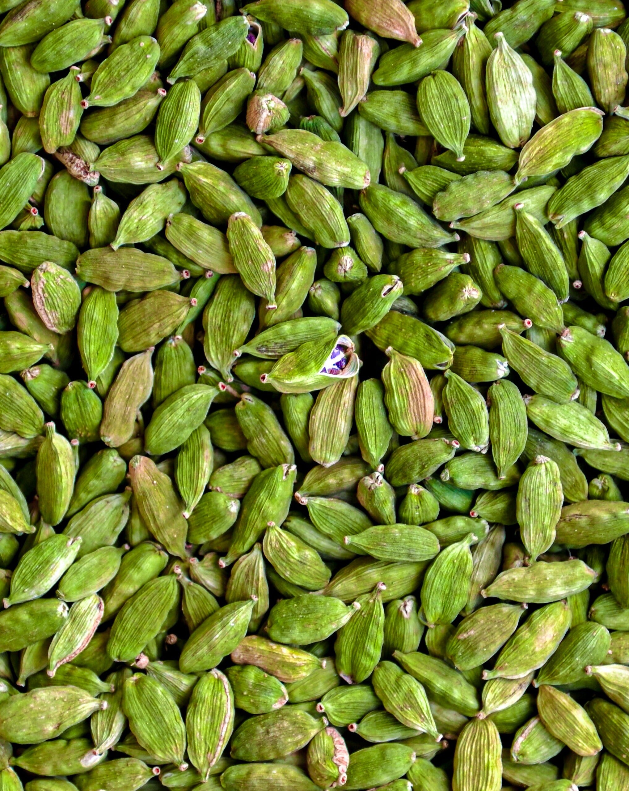 Food of Gods Chola Cardamom pods