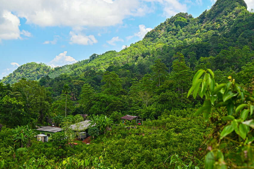 Origin visit: March 2022, Sri Lanka
