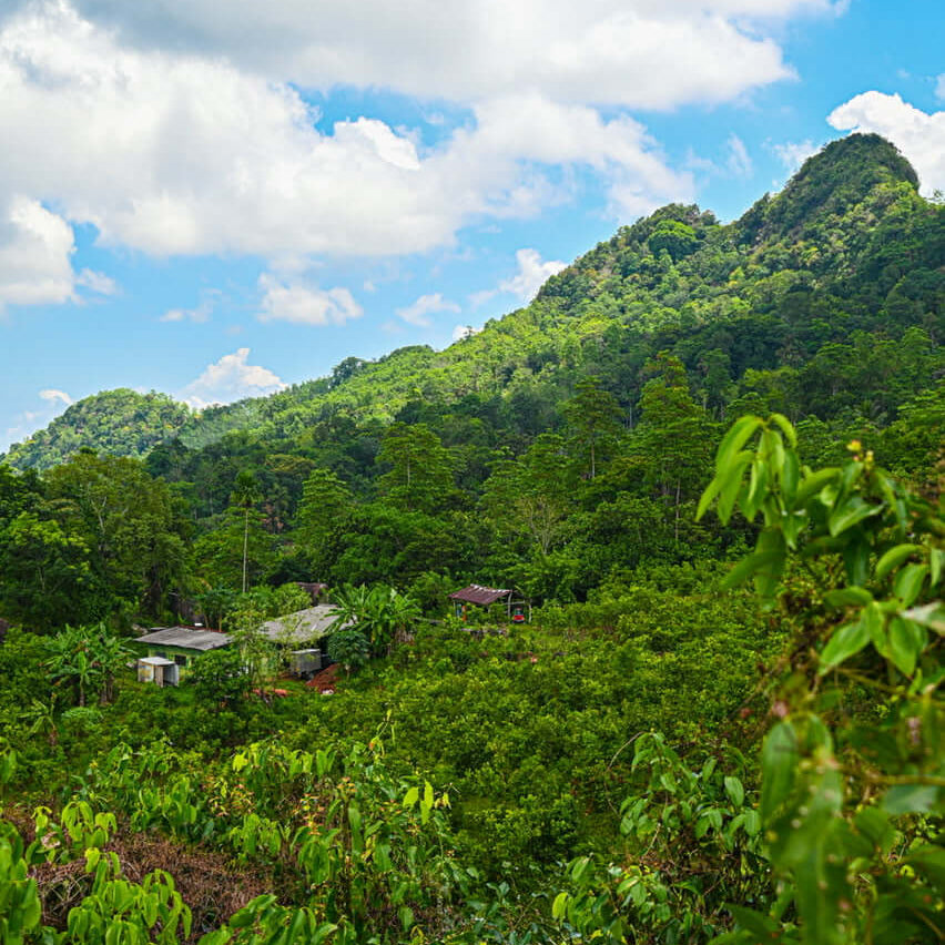 Origin visit: Medagalathura, Sri Lanka