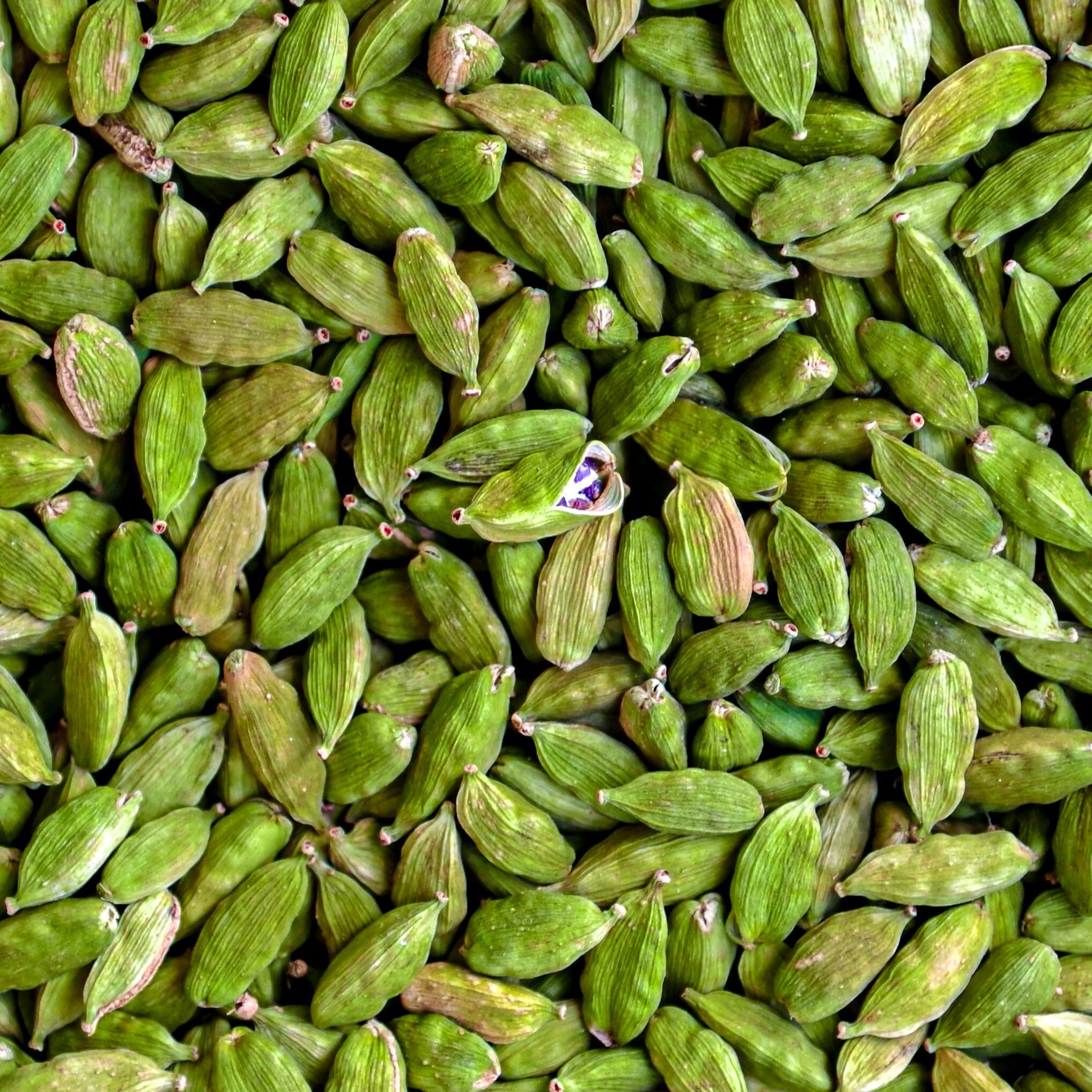 Food of Gods Chola Cardamom pods