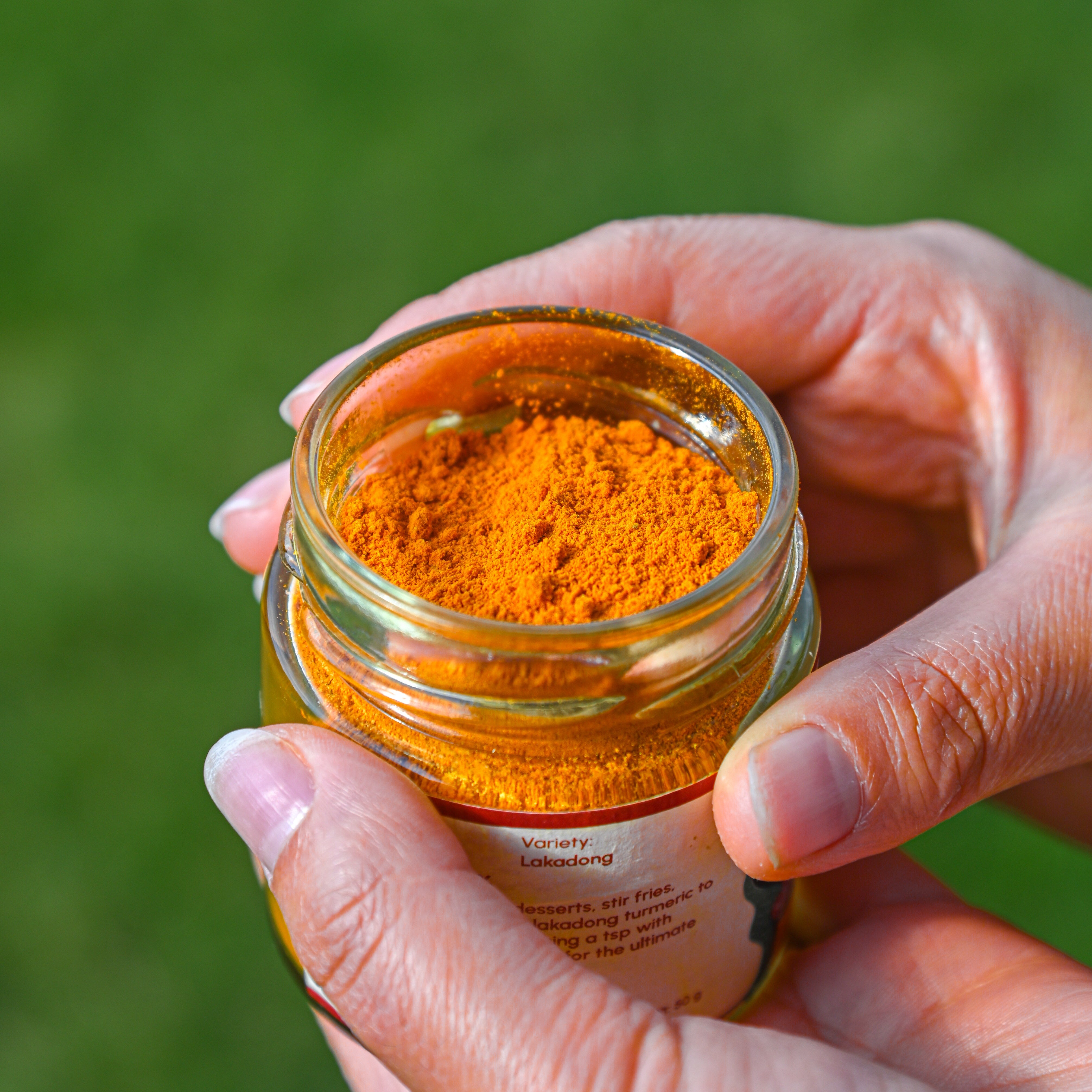 Close-up of Lakadong turmeric powder showing deep golden colour