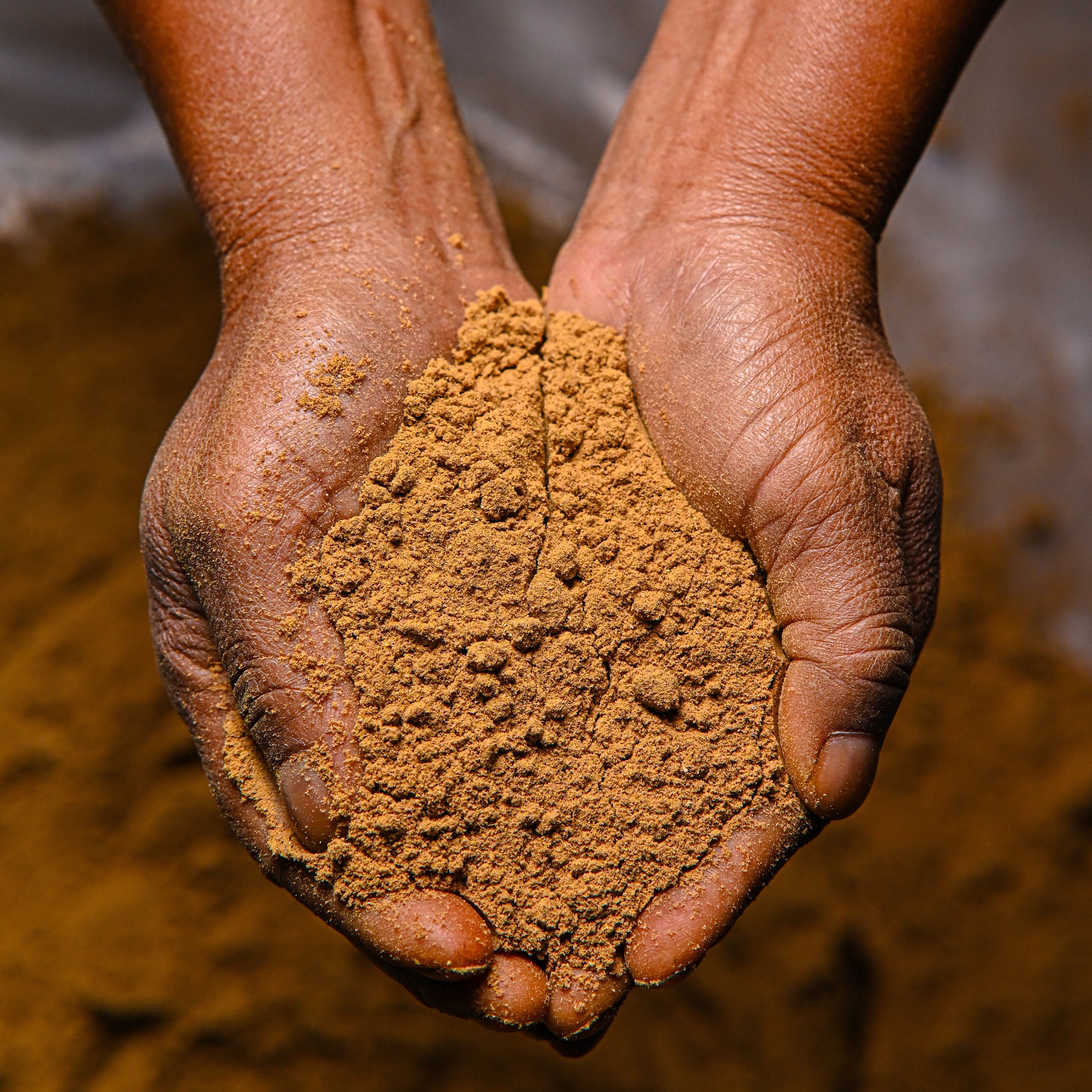 Food of Gods Makhir Ginger Powder