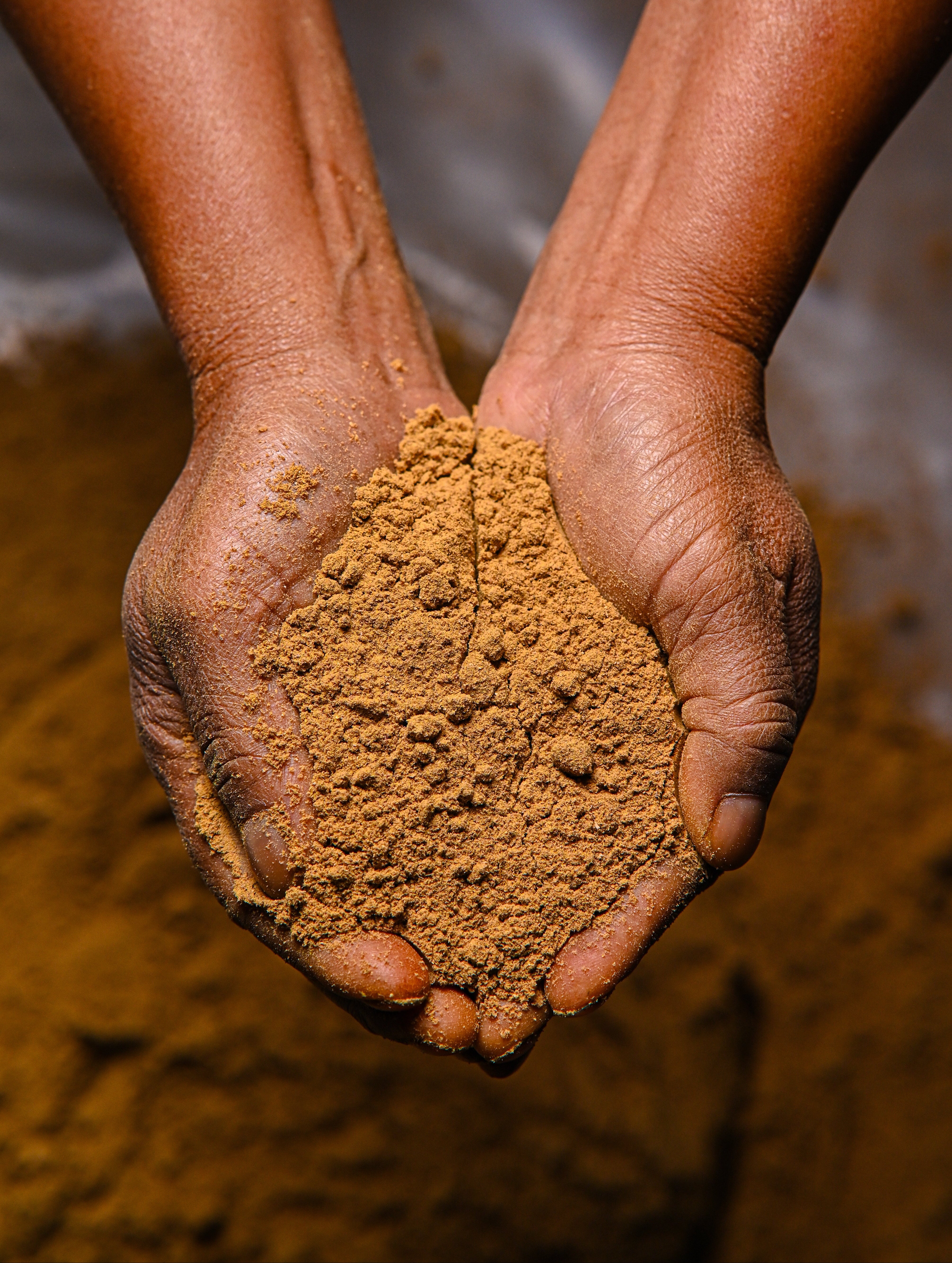 Food of Gods Makhir Ginger Powder